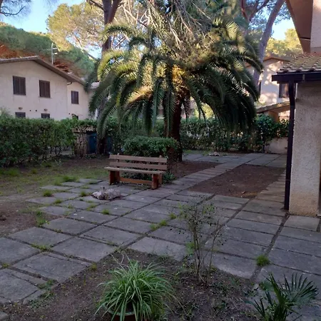Marcolina * Grosseto